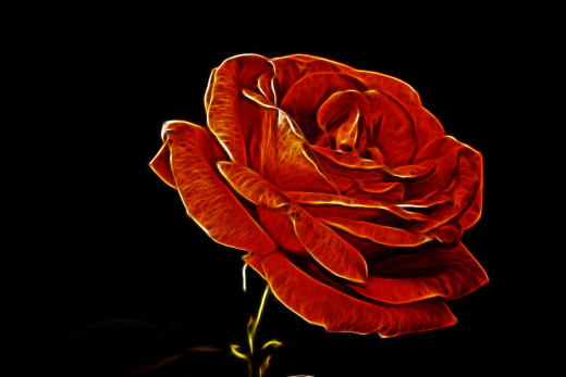1440959 (a): :1920x1280